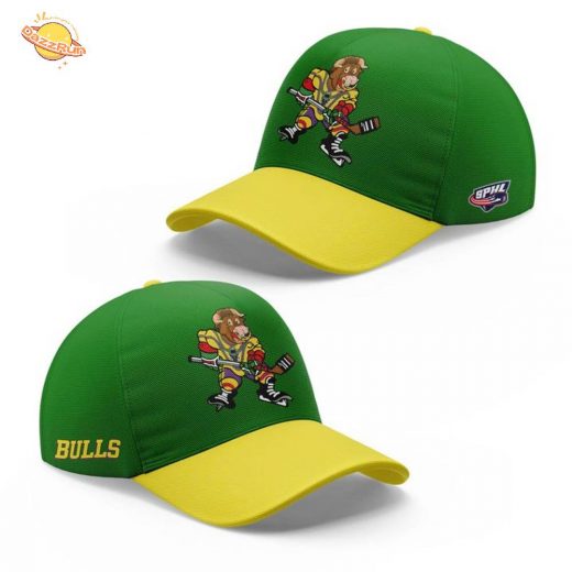 Birmingham Bulls x The Mighty Bulls New Hockey Jersey(Custom)